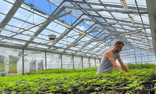 Müller Greenhouse