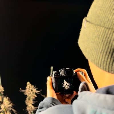 Pflanzen Shooting Pflanzen Shooting