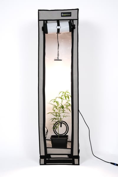 SANlight STIXX 50 Q40